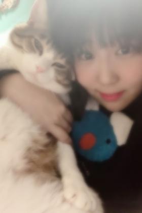 愛宮ことり