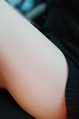 叶茉莉花