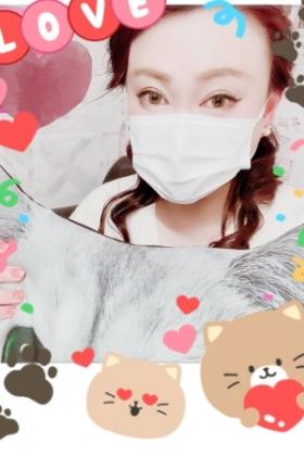 叶茉莉花