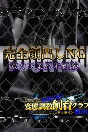 若月りょう